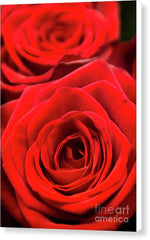Load image into Gallery viewer, Red Roses - Grand Prix - Canvas Print
