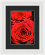 Load image into Gallery viewer, Red Roses - Grand Prix - Framed Print
