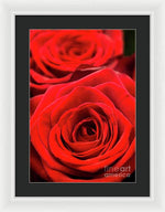 Load image into Gallery viewer, Red Roses - Grand Prix - Framed Print
