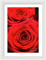 Load image into Gallery viewer, Red Roses - Grand Prix - Framed Print
