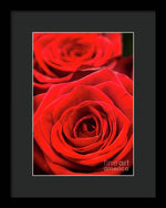 Load image into Gallery viewer, Red Roses - Grand Prix - Framed Print
