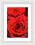 Load image into Gallery viewer, Red Roses - Grand Prix - Framed Print
