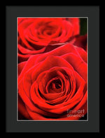 Load image into Gallery viewer, Red Roses - Grand Prix - Framed Print
