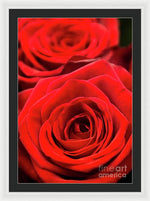 Load image into Gallery viewer, Red Roses - Grand Prix - Framed Print
