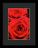 Load image into Gallery viewer, Red Roses - Grand Prix - Framed Print
