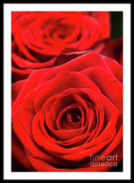 Load image into Gallery viewer, Red Roses - Grand Prix - Framed Print
