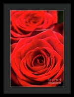 Load image into Gallery viewer, Red Roses - Grand Prix - Framed Print
