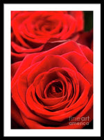 Load image into Gallery viewer, Red Roses - Grand Prix - Framed Print
