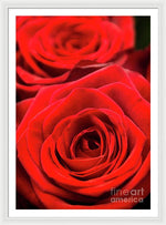 Load image into Gallery viewer, Red Roses - Grand Prix - Framed Print
