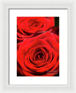 Load image into Gallery viewer, Red Roses - Grand Prix - Framed Print
