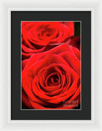 Load image into Gallery viewer, Red Roses - Grand Prix - Framed Print
