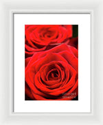 Load image into Gallery viewer, Red Roses - Grand Prix - Framed Print
