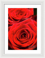 Load image into Gallery viewer, Red Roses - Grand Prix - Framed Print
