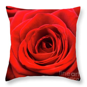 Red Roses - Grand Prix - Throw Pillow