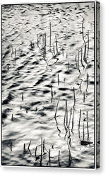 Load image into Gallery viewer, Reeds in Ripples - Canvas Print
