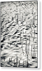 Load image into Gallery viewer, Reeds in Ripples - Canvas Print
