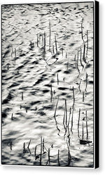 Load image into Gallery viewer, Reeds in Ripples - Canvas Print
