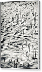 Load image into Gallery viewer, Reeds in Ripples - Acrylic Print
