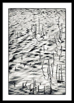 Load image into Gallery viewer, Reeds in Ripples - Framed Print

