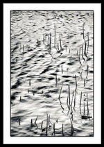 Load image into Gallery viewer, Reeds in Ripples - Framed Print
