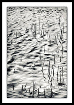 Load image into Gallery viewer, Reeds in Ripples - Framed Print
