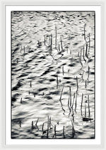 Load image into Gallery viewer, Reeds in Ripples - Framed Print
