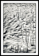 Load image into Gallery viewer, Reeds in Ripples - Framed Print
