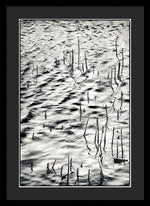 Load image into Gallery viewer, Reeds in Ripples - Framed Print
