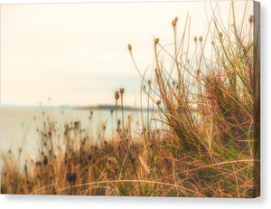 Scottish coastline - Canvas Print