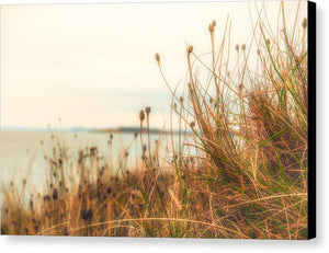 Scottish coastline - Canvas Print