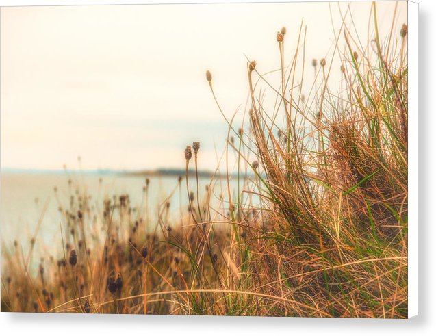 Scottish coastline - Canvas Print