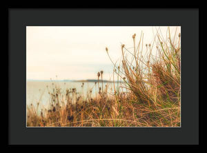 Scottish coastline - Framed Print