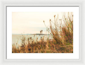 Scottish coastline - Framed Print