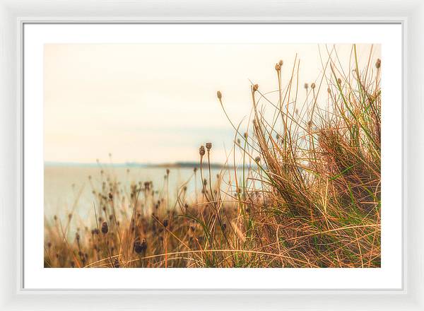 Scottish coastline - Framed Print