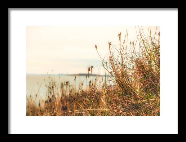 Scottish coastline - Framed Print