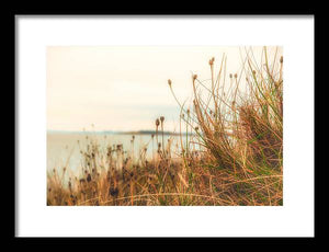 Scottish coastline - Framed Print