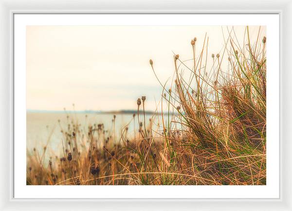 Scottish coastline - Framed Print