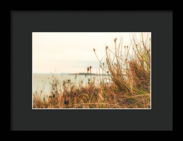 Scottish coastline - Framed Print