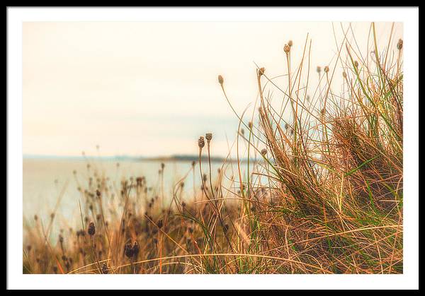 Scottish coastline - Framed Print