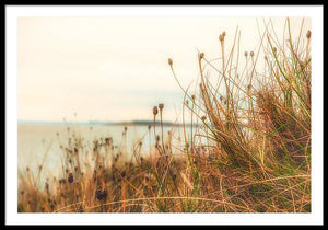 Scottish coastline - Framed Print