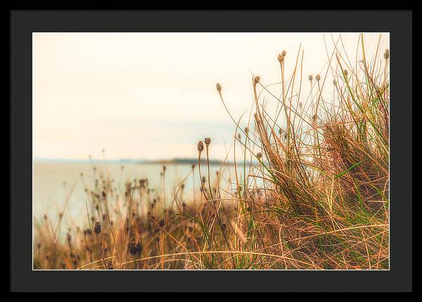 Scottish coastline - Framed Print