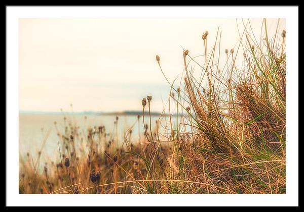 Scottish coastline - Framed Print