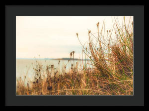 Scottish coastline - Framed Print