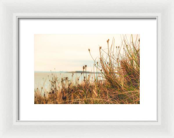 Scottish coastline - Framed Print