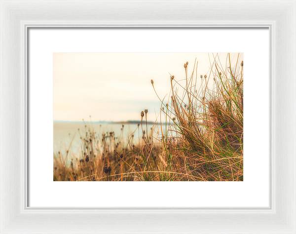 Scottish coastline - Framed Print