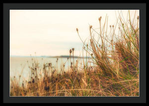 Scottish coastline - Framed Print