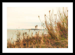 Scottish coastline - Framed Print