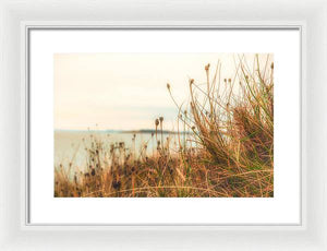 Scottish coastline - Framed Print