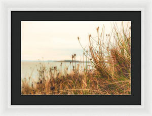 Scottish coastline - Framed Print