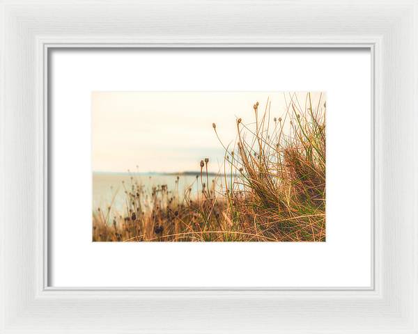 Scottish coastline - Framed Print